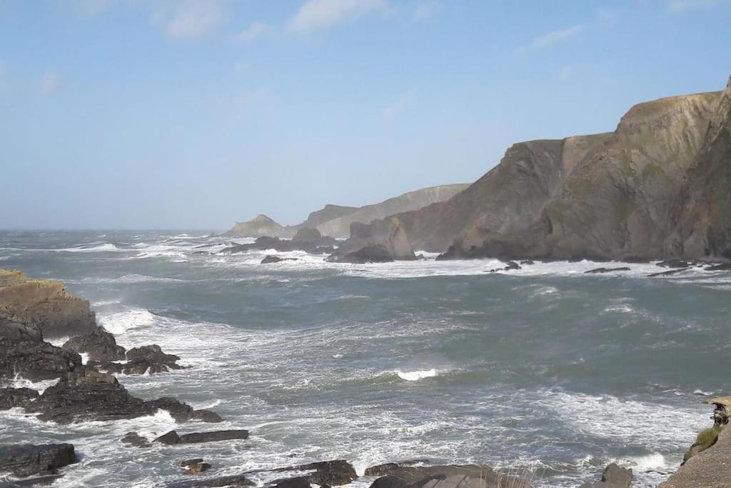 Coastal Cottage 'The Garden Cottage ' Hartland Esterno foto
